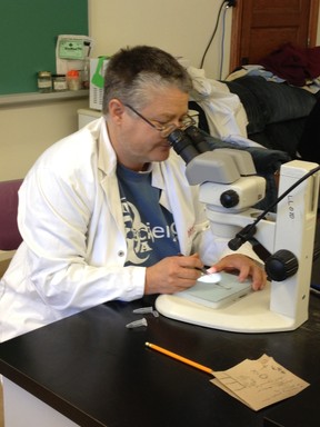 Dr. Vett Lloyd. (Supplied photo)