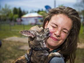 Stephanie Durante holds her chihuahua Quincy, at the 16th annual Woofstock held at Woodbine Park in Toronto, Ont. on Sunday May 26, 2019.