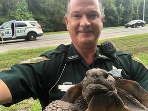 St. Johns County Sheriff's deputy L. Fontenot takes a selfie with a slow moving tortoise. (Facebook)