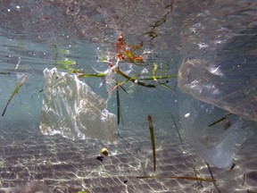 Plastic waste floating in the sea in Marseille near France on June 7, 2019.