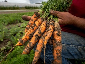 Calin Laurentiu used a carrot in a fatal sexual fantasy with his partner and now faces life in prison.