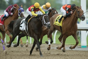 Cooler Mike finished second by a neck in the $100,000 Steady Growth Stakes Saturday. (Michael Burns photo)