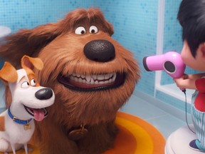 Max the terrier (voice of Patton Oswalt), left, and Duke the mutt (Eric Stonestreet) must get used to a toddler in the family in "The Secret Life of Pets 2." (Illumination Entertainment/Universal Pictures)