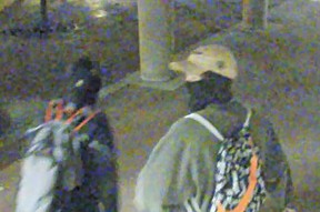 Halton Regional Police released images of suspect wanted in Burlington hate crimes.