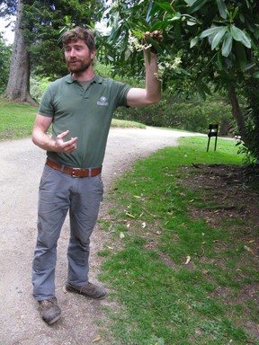 Powerscourt Gardens head gardener Alex Slazenger. (Christina Blizzard)