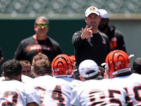 Cincinnati Bengals head coach Zac Taylor talks with his team during minicamp at Paul Brown Stadium June 11, 2019. (Aaron Doster-USA TODAY)