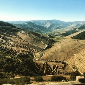 A scenic drive along the wine road in the Douro Valley is a highlight of any tour of Portugal with the valley one of four designated wine regions in the world and a UNESCO Heritage Site. The are many opportunities to visit quintas (farms or estates) to sample port and see how the wines are produced. (PAT LEE)