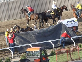 Driver Obrey Motowylo driving for Prism Flow Products has a horse go down during heat 2 during the GMC Rangeland Derby at the Calgary Stampede in Calgary on Wednesday, July 10, 2019. Darren Makowichuk/Postmedia