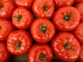 Beefsteak tomatoes are seen at the Holden Colony Produce booth on the opening night of the Beverly Farmers' Market for the 2019 season at 3941 118 Avenue in Edmonton, on Tuesday, May 14, 2019.