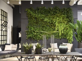 A gorgeous green wall stylishly separates Home Societe from Jardin de Ville.