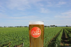 Oast House backs on to the neighbouring Stratus vineyards and features a multi-level patio. (Ian Shantz/Toronto Sun)