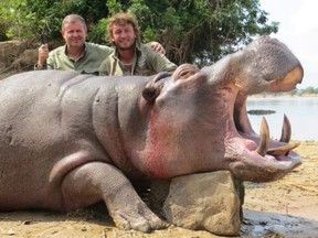 A hippo is one of the several animals Jacques Alboud hunted while on safari in Tanzania during 2014. (Facebook)