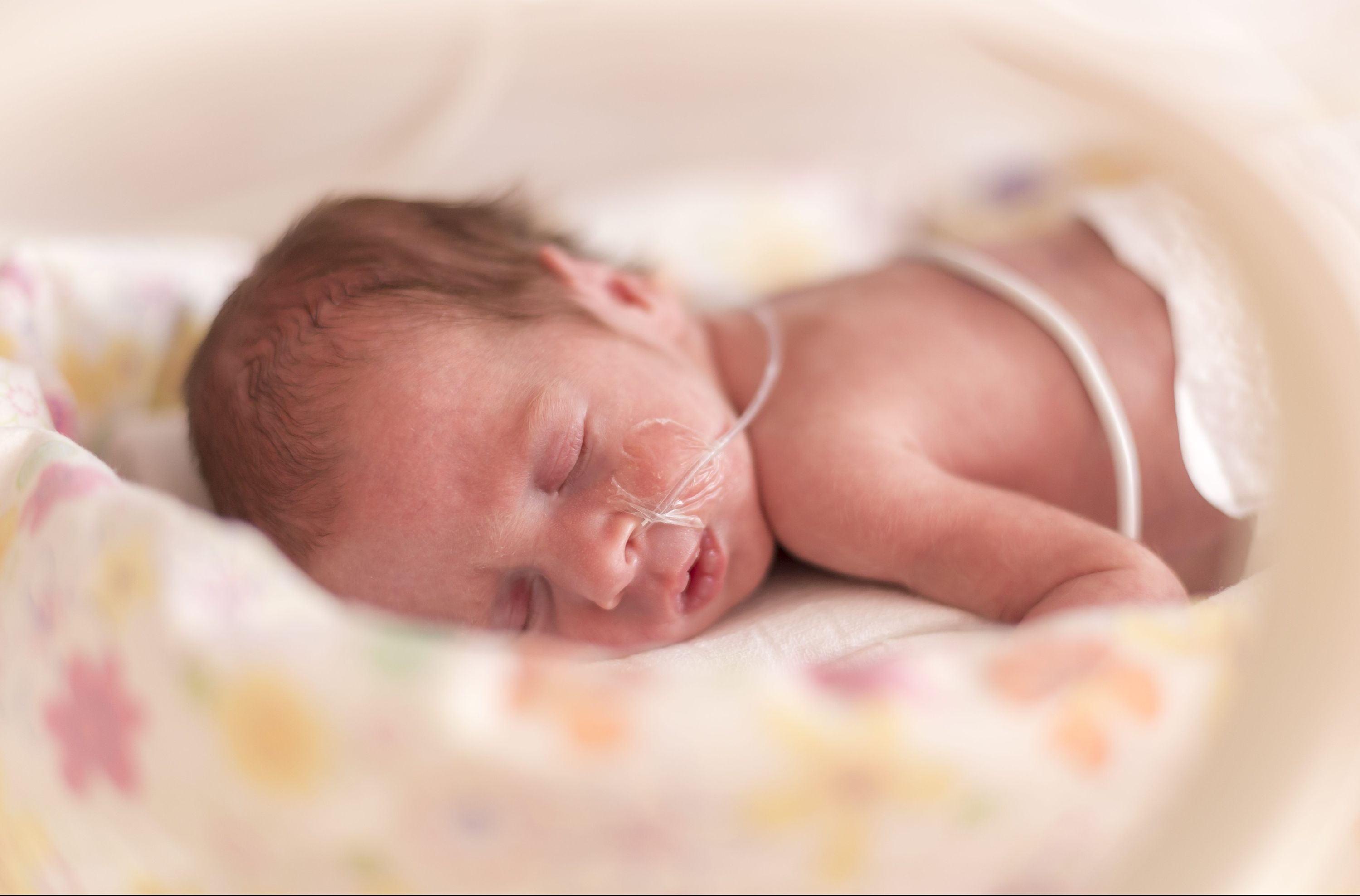 Premature babies are less likely to become parents: Study | Toronto Sun