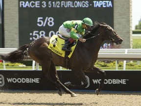 Jockey Rafael Hernandez guides Mr.Hustle to victory at Woodbine in the $100,000 Victoria Stakes on Sunday. (Michael Burns photo)