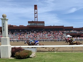 Horses run to the finish line in front of the grandstand during a recent race at Ajax Downs. The quarter-horse track east of Toronto will celebrate its 50th anniversary on July 14, 2019.