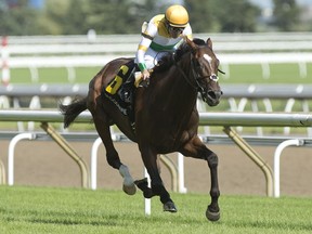 Jockey Steven Bahen guides Tiz a Slam to victory in the Nijinsky Stakes. (Michael Burns photo)