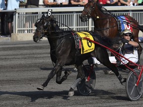 Driver Bob McClure guides No. 6 Forbidden Trade to a neck-length victory over  No. 2 Greenshoe and driver Brian Sears in the $1-million Hambletonian on Saturday. (AP)