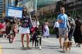 During Open Streets, generous stretches of Bloor and Yonge Street are closed to pedestrians and cyclists only, with a number of pop-up games and activities being organized, enabling people from all walks of life to get out and literally play on the street.