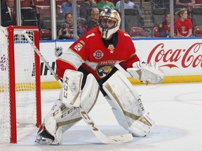 Goaltender Roberto Luongo of the Florida Panthers defends the net against the Ottawa Senators at the BB&T Center on March 3, 2019 in Sunrise, Florida. The Senators defeated the Panthers 3-2.