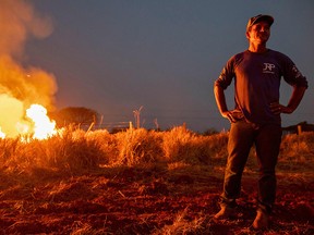 A labourer looks at a fire that spread to the farm he works on next to a highway in northern Mato Grosso State, Brazil, on August 23, 2019. (JOAO LAET/AFP/Getty Images)
