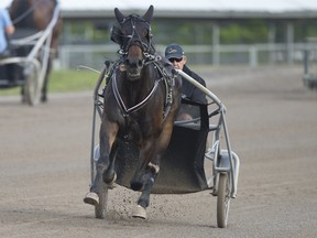 Catch harness racing action at Woodbine Mohawk Park. (Michael Burns photo)