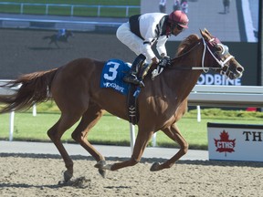 Jockey Patrick Husbands guides Alnilah to victory in the $125,000 Seaway Stakes at Woodbine yesterday. (Michael Burns photo)