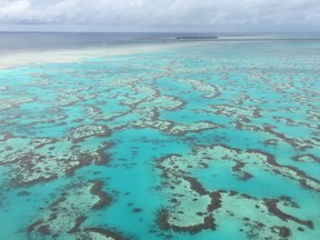 The colours of the Great Barrier Reef, with Heron Island in the background, are vibrant from the air. (Terry Koshan)