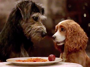 Tramp and Lady in a scene from Disney's Lady and the Tramp. (Disney+)