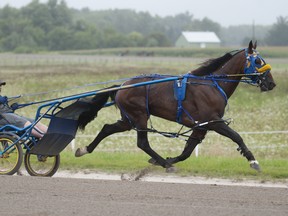 There was plenty of action Saturday night at Mohawk during the Maple Leaf Trot. (Michael Burns photo)