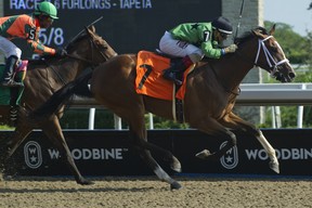 George Bigliardi’s two-year-old filly Teacher’s Pet, with top jockey Rafael Hernandez, wins race at Woodbine on Aug. 2, 2019. (Michael Burns photo)