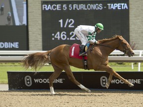 Keep on Truckin heads the $125,000 Clarendon Stakes as part of Saturday’s card at Woodbine. (Michael Burns photo)