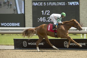 Keep on Truckin heads the $125,000 Clarendon Stakes as part of Saturday’s card at Woodbine. (Michael Burns photo)