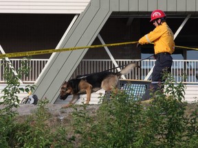 A canine unit from Heavy Urban Search and Rescue at the scene of the Algo Centre Mall in Elliot Lake on Tuesday, June 26, 2012.