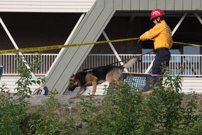 A canine unit from Heavy Urban Search and Rescue at the scene of the Algo Centre Mall in Elliot Lake on Tuesday, June 26, 2012.