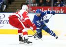 Mitch Marner #16 of the Toronto Maple Leafs battles for the puck with Madison Bowey #74 of the Detroit Red Wings during an NHL pre-season game at Scotiabank Arena on Saturday night. (Photo by Vaughn Ridley/Getty Images)