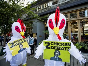 Two Conservative protesters are pictured in chicken costumes outside a Liberal fundraiser in the Eglinton Ave.-Yonge St. area. (Ernest Doroszuk, Toronto Sun)