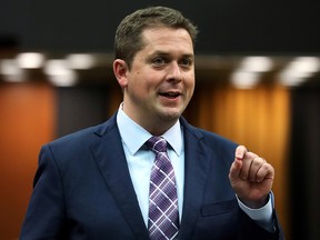 Conservative leader Andrew Scheer speaks during Question Period in the House of Commons on Parliament Hill in Ottawa May 29, 2019. (REUTERS/Chris Wattie/File Photo)