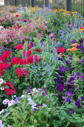 The gardens at the Temple Square are well-kept and full of colourful flowers. (Laura Shantora Nelles)