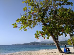 Grenada's most famous beach, Grand Anse Beach, is prized for its pristine blue waters and white sand.  (Ling Hui/Postmedia Network)