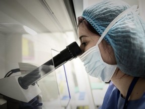 A lab tech of the laboratory of reproductive biology CECOS, the medically assisted procreation (PMA) unit of Tenon Hospital works in Paris. The French parliament debated a draft law on to extend fertility treatment to lesbian and single women.