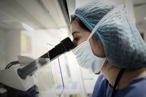 A lab tech of the laboratory of reproductive biology CECOS, the medically assisted procreation (PMA) unit of Tenon Hospital works in Paris. The French parliament debated a draft law on to extend fertility treatment to lesbian and single women.