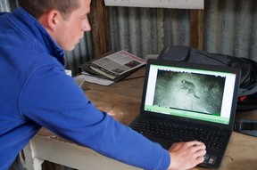 On the Unzoo’s Devil Tracker Tour on Australia’s Tasman Peninsula, staff show how they monitor the wild Tasmanian devils that live in the area. (Peter Neville-Hadley/Horizon Writers’ Group)