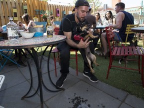 This Postmedia Network file photo shows 
Morgan Gies and his dog, Eugene, enjoying the patio at El Cortez in Edmonton on May 25, 2018.