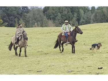 Horseback riding in Chile on Saturday September 7, 2019. Veronica Henri/Toronto Sun/Postmedia Network
