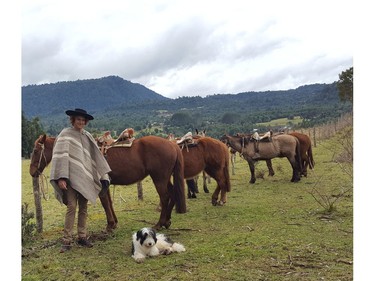 Horseback riding  in Chile on Saturday September 7, 2019. Veronica Henri/Toronto Sun/Postmedia Network