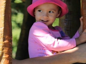 Camila Torcato (GoFundMe)