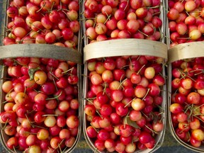 Cherries at the Ontario Food Terminal