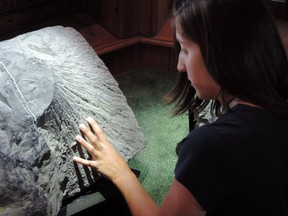 The meteoric history of Charlevoix is celebrated at The Observatory in La Malbaie. Interactive exhibits offer chances to learn and have fun. (Charlevoix Tourism)