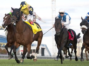 Jockey Andrea Atzeni guides Desert Encoutner to victory in the $800,000 Pattison Canadian International Stakes. Desert Encounter is trained by David Simcock in the U.K. (MICHAEL BURNS PHOTO)