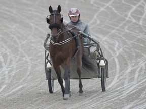 Alicorn takes a trip around the track at Woodbine Mohawk Park on Tuesday. The local star is gearing up for Friday's $600,000 Two-year-old Filly Pace. (MICHAEL BURNS PHOTO)